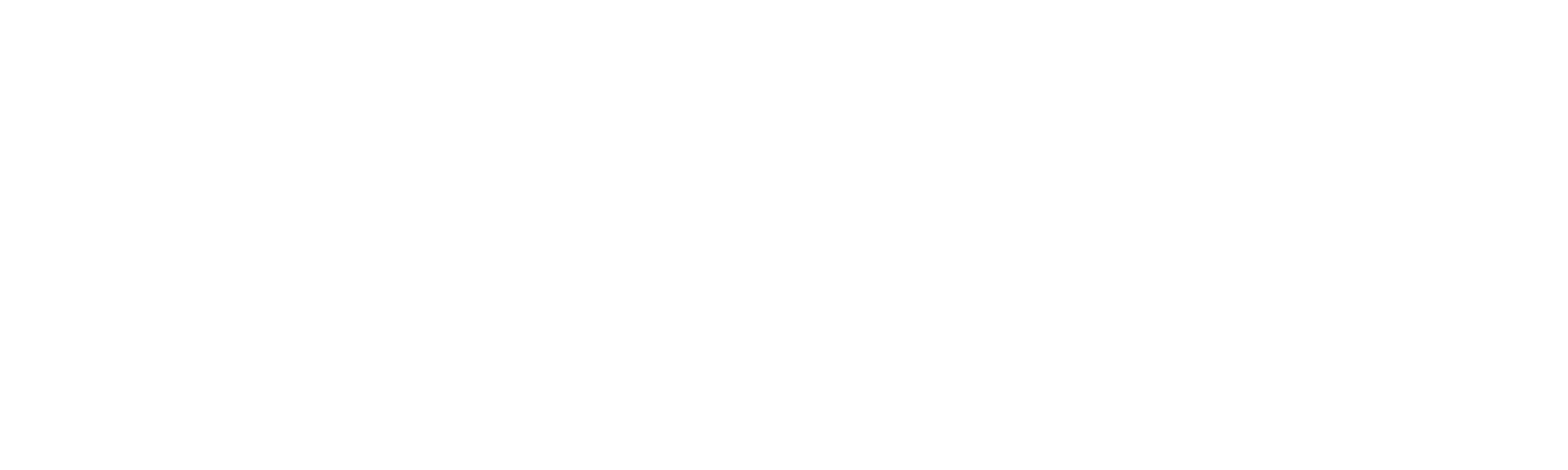 VIKINGNET